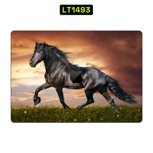 Premium Animals Laptops Skin - Wholesale | Nexa Skins — LT1493 - Animals Raw Skins (horse, black horse, sunset)